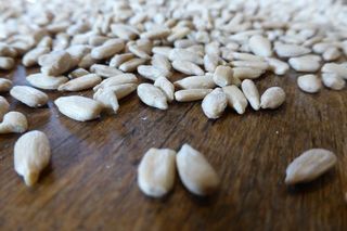 向日葵种子，谷物，种子，米色，关闭