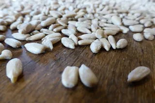 向日葵种子，谷物，种子，米色，关闭