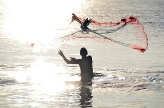斯里兰卡，菲舍尔，网络，投掷，鱼，捕鱼网