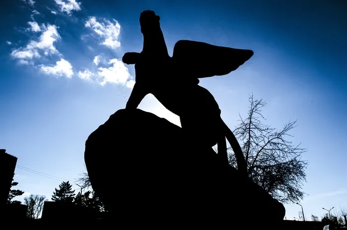 纪念碑，自然，城市，建筑，豹