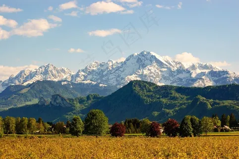 景观,山,瓦茨曼,高山,心情,树木 景观,山,瓦茨曼,高山,心情,树木
