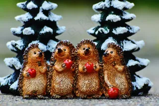 刺猬，苹果树，冬冬季，可爱，甜，图，寒冬，装饰