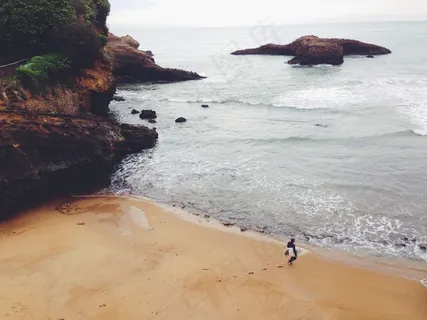 海洋,鸟类,自然/人文景观,小狗,瀑布,海海岸冲浪者海岸