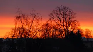 阿尔高，日出，早晨，磨砂，树，红色的天空，心情