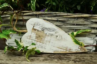 树,盆栽植物,水稻插秧机,袋子,石头,在篮子里的木心