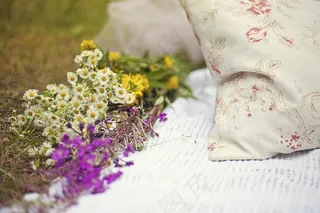 鲜花，夏天，装饰，性质，装饰