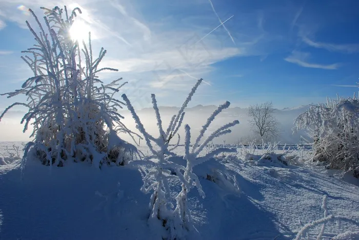 冬天，冬天的心情，寒冬，雪，白雪皑皑，冷