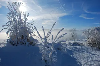 冬天，冬天的心情，寒冬，雪，白雪皑皑，冷