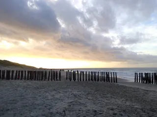 海滩，水机，沧海，木，沙，Domburg，Zeeland，发布