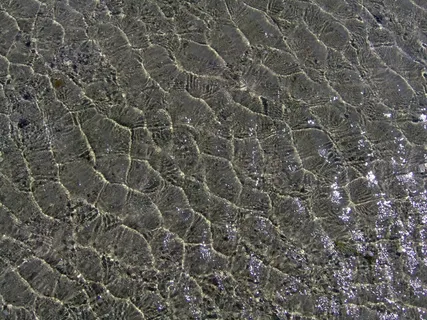 水，波，海底，北海，海，北弗里斯兰