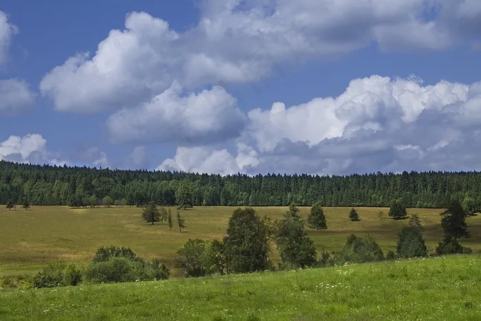 云，天空，景观，蓝色，自然，树，草地