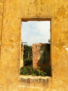 窗口，首页，植物，绿色，天空，夏天