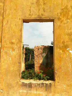 窗口，首页，植物，绿色，天空，夏天