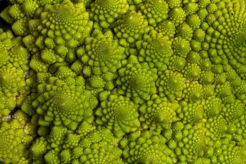 蔬菜，宏，花椰菜，Romanesco