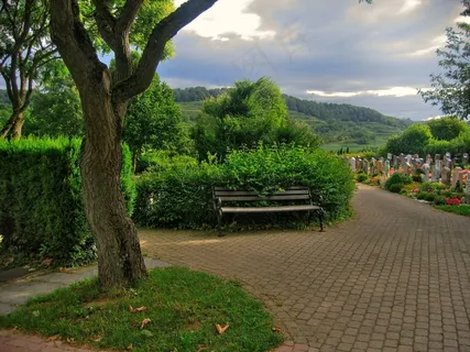 公墓,坟墓,银行,离,树,坟墓石头,天空 公墓,坟墓,银行,离,树,坟墓石头,天空