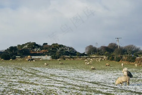 天空,风景,地板砖,工艺品,海洋,羊在外地