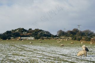天空,风景,地板砖,工艺品,海洋,羊在外地