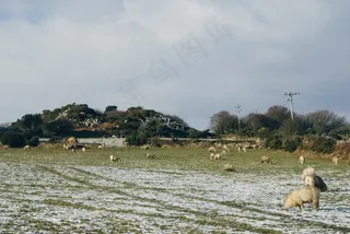 天空,风景,地板砖,工艺品,海洋,羊在外地