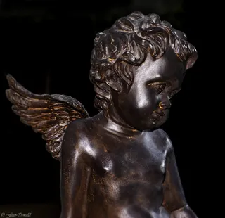 天使，信仰，无花果，希望，雕塑，几点思考