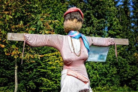 稻草人，稻草的女人，图，剪影，人的