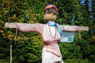 稻草人，稻草的女人，图，剪影，人的