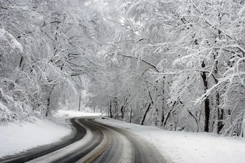 冬季,仙境,景观,景区,雪,冰,树木 冬季,仙境,景观,景区,雪,冰,树木