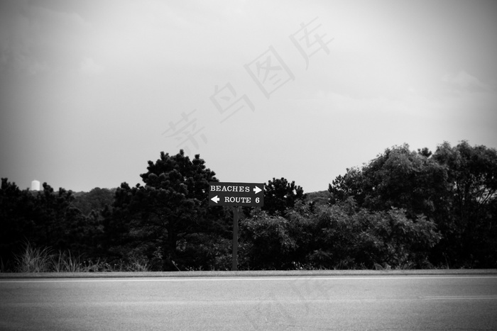 树,街道,风景,天空,工艺品,黑色和白色路海滩标志