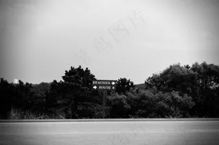 树,街道,风景,天空,工艺品,黑色和白色路海滩标志