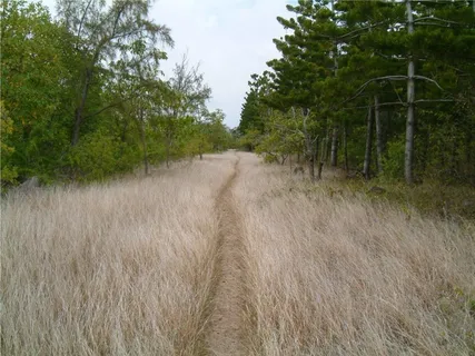毛里求斯,假期,岛,自然,旅行,徒步旅行 毛里求斯,假期,岛,自然,旅行,徒步旅行