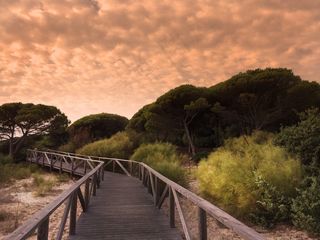 海洋，沙丘，海，西班牙，海滩，海岸，夏天