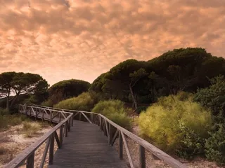 海洋，沙丘，海，西班牙，海滩，海岸，夏天