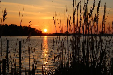日落,银行,草,性质,Abendstimmung,湖,天空 日落,银行,草,性质,Abendstimmung,湖,天空