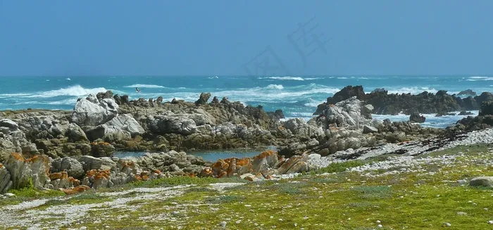 海岸，海，冲浪，岩，海滩，波，岩石海岸