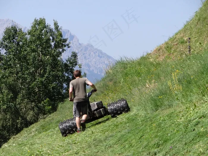 鲍尔，山区农民，工作，草地，割