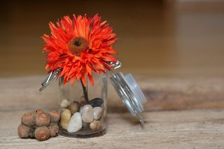 花，开花，艺术花，面料花