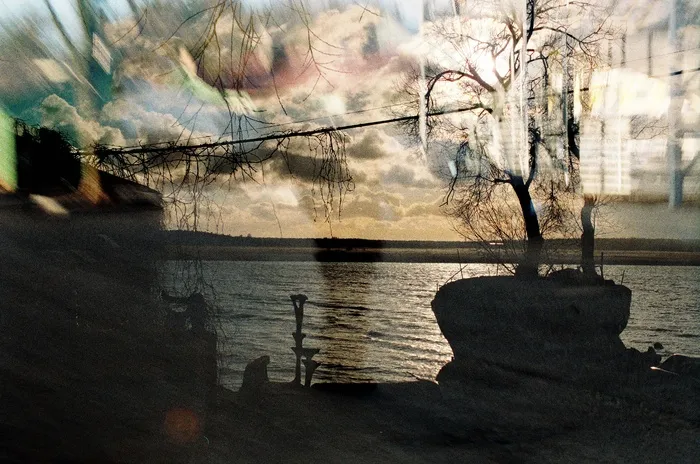 树,油画,图画,巷道,工艺品,湖落日