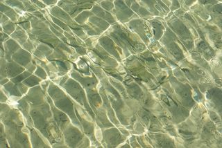 水，溪，流，新鲜，清晰，和平，流动