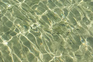 水，溪，流，新鲜，清晰，和平，流动