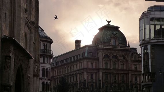 奥地利，维也纳，日落，太阳，鸟，视图