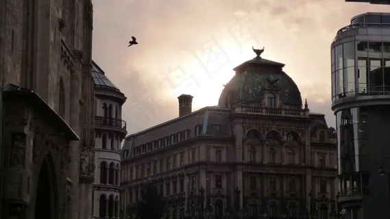 奥地利，维也纳，日落，太阳，鸟，视图