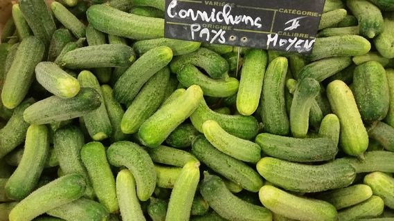 蔬菜，绿色，泡菜，生物，沙拉，新鲜