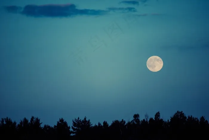 月夜,天空,月亮,屏幕截图,卡通动漫人物,森林满月