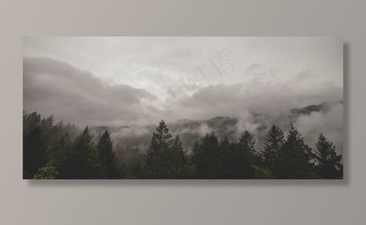 云雾缭绕,树,云雾,天空,风景,山云森林树木