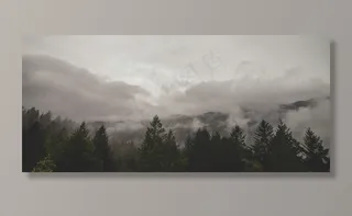 云雾缭绕,树,云雾,天空,风景,山云森林树木