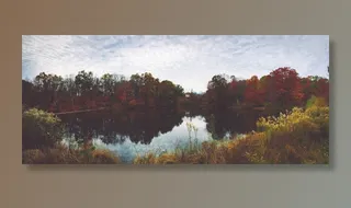 湖泊风景，池塘，秋景，秋天，树，色，叶子，公园