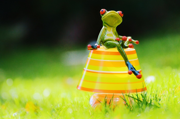 灯，青蛙，浪漫，条纹，夏天的颜色，灯罩