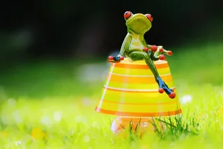 灯，青蛙，浪漫，条纹，夏天的颜色，灯罩