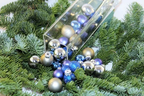 圣诞节,明星,背景,一品红,来临 圣诞节,明星,背景,一品红,来临