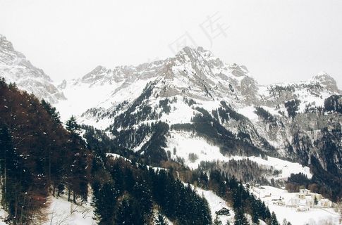 山，冬季，树木，森林，冒险，旅行