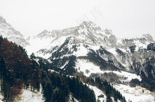 山，冬季，树木，森林，冒险，旅行